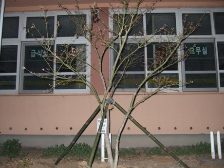경화찻집 이미지