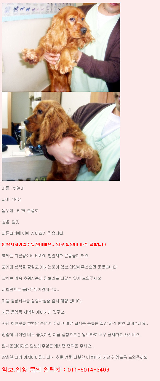 달자 이미지
