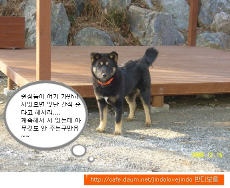 깜댕이 이미지